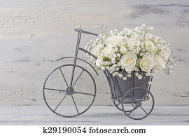 White roses White roses