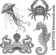 ים, של ים, שרבט, קבע