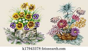 ヒース 花 ストックイメージ K Fotosearch