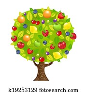 Fruit Tree Fruit Tree