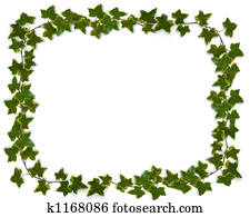 Ivy Border or Frame Ivy Border or Frame