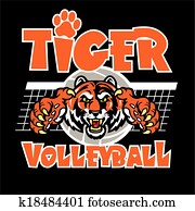 tiger, voleibol, desenho