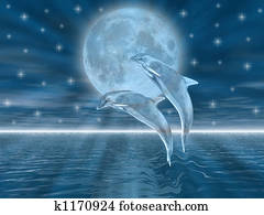 Dolphins Dolphins