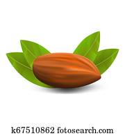 Almond Stock Illustrations. 901 almond clip art images and royalty free