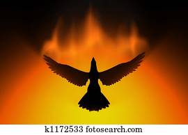 phoenix rising phoenix rising