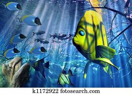 Underwater Underwater
