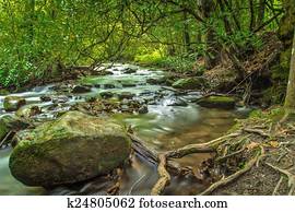 Hiking In The Smokies