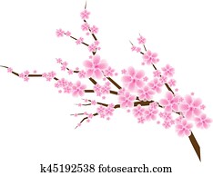 乾燥花插圖 1000 乾燥花藝術圖像 Fotosearch