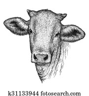 engrave cow illustration engrave cow illustration