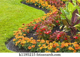 Gardening Gardening