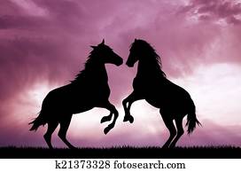 Horses in love Horses in love