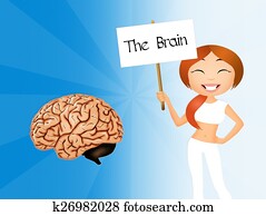 Occipital Illustrations | Our Top 534 Occipital Stock Art | Fotosearch
