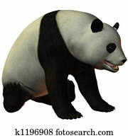 Toon Panda Toon Panda