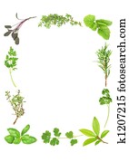 Fresh Aromatic Herbs Fresh Aromatic Herbs