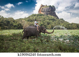 hombre, y, niño, en, elefante