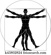 Vitruvian Man Da Vinci Style Figure Vitruvian Man Da Vinci Style Figure