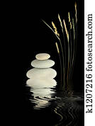Zen Harmony Zen Harmony