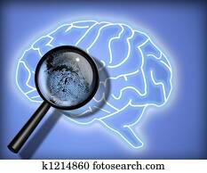  Brain - Personality - Identity