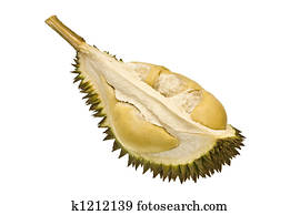 durian fruit