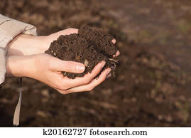 hands with soil