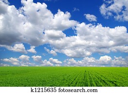 nature nature