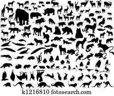 Vector animals Vector animals