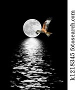 águia, voando, em, lua cheia