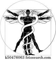 caduceus, homem vitruvian