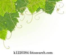 Grape leaf corner