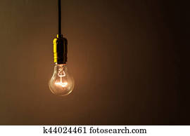 light bulb light bulb