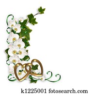 סחלבים, ו, קיסוסית, גבול