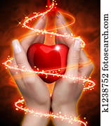 Heart in hands Heart in hands