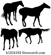 Horses Silhouettes Horses Silhouettes