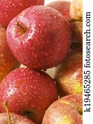 Apple Apple