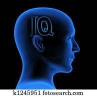 IQ IQ