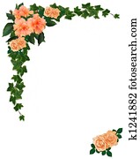 ivy,, היביסקוס, ו, ורדים, פרחוני