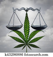 Marijuana Law Concept Marijuana Law Concept