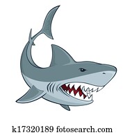 Shark sign Shark sign