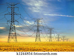 חשמלי, מגדלים