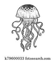 מדוזה, רשום, חקיקה, וקטור, illustration., *t* חולצה, ליבוש, הדפס, design., גרד, עלה, imitation., לבן שחור, העבר, צייר, image.