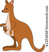 Kangaroo Kangaroo