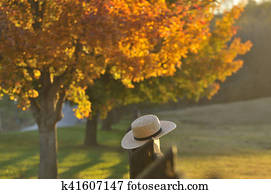 nebuloso, outono, noite, lancaster, pensilvânia