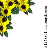 Sunflowers corner Design Sunflowers corner Design