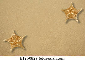 Two star fish on the sand
