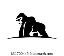 Ape Ape