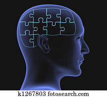 Brain Brain