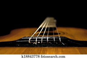 guitar guitar