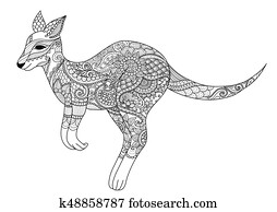 kangaroo kangaroo