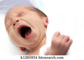 Newborn Newborn