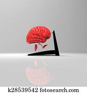 Brain Brain
